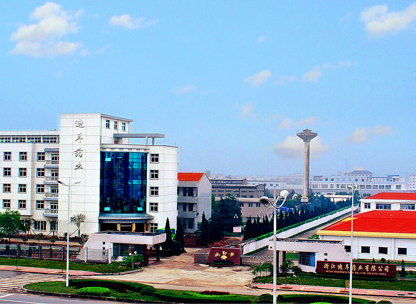 浙江迪耳药业有限公司