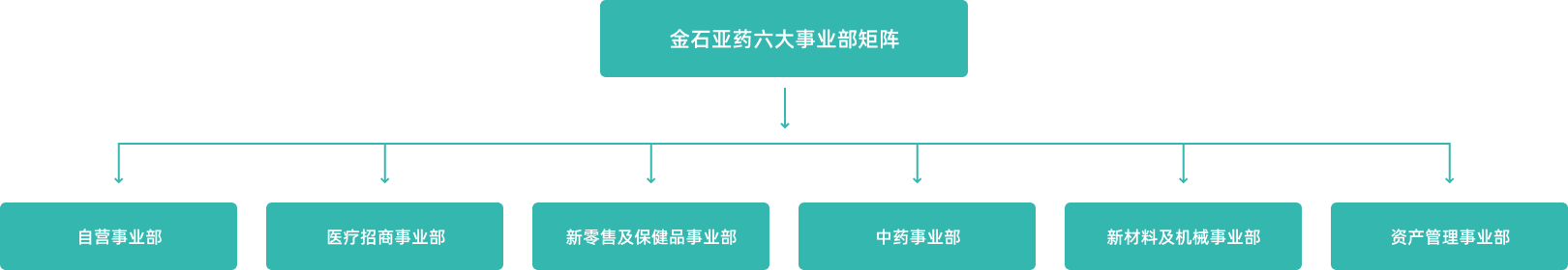 金石亚药六大事业部矩阵